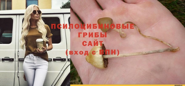 не бодяженный Лагань